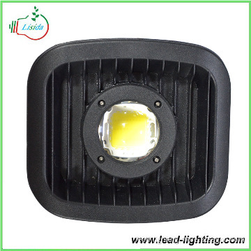 small wattage flood light with lens